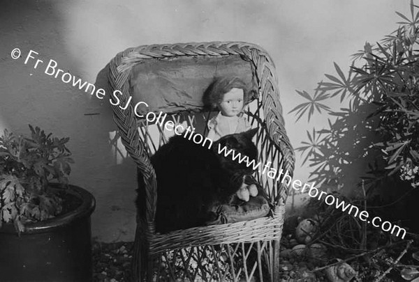 ANN COLLIER AT CLOGHERHEAD